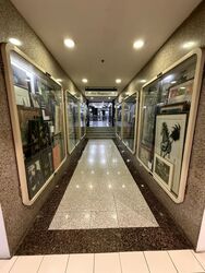 Peninsula Shopping Complex (D6), Retail #539354971